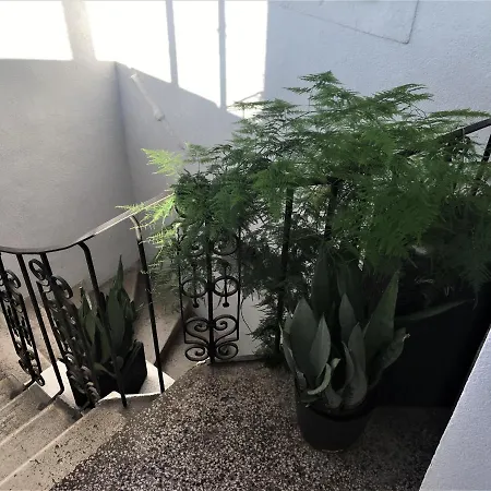 Old Town Ivo Apartment *